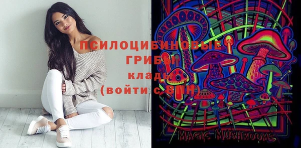 хмурый Алексин