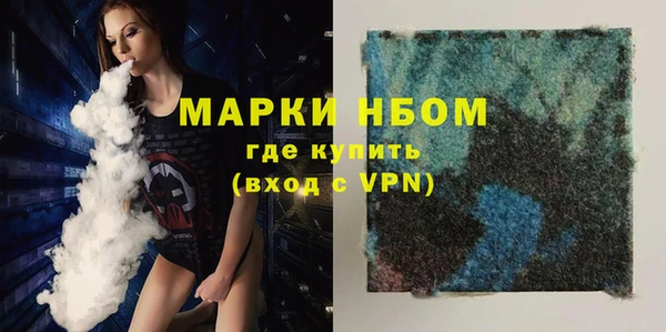хмурый Алексин