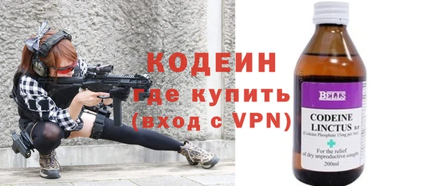 хмурый Алексин